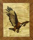 Envol de l'aigle