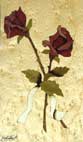 Couple de roses