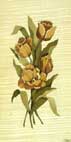 Tulipes